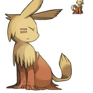 Meet your Posher, Summer